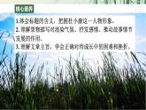 【任務(wù)型教學(xué)】統(tǒng)編語文九上17《孤獨之旅》 課件+教案+導(dǎo)學(xué)案（師生版）+同步測試（含答案）