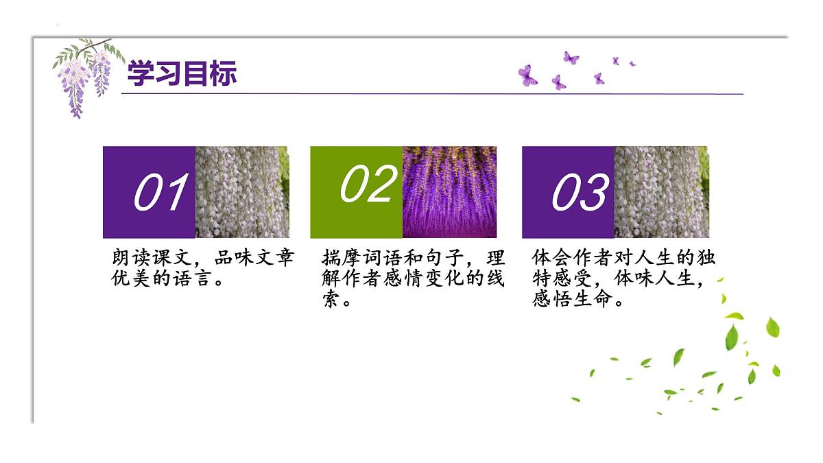 初中  语文  人教部编版（2024）  七年级下册（2024）  第五单元19 紫藤萝瀑布 课件第3页
