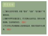 統(tǒng)編版（部編版）（2024）七年級語文下冊18 井岡翠竹 課件