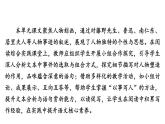 統(tǒng)編版（部編版）（2024）八年級(jí)語(yǔ)文上冊(cè)第二單元 閱讀綜合實(shí)踐  課件 統(tǒng)編版語(yǔ)文八年級(jí)上冊(cè)