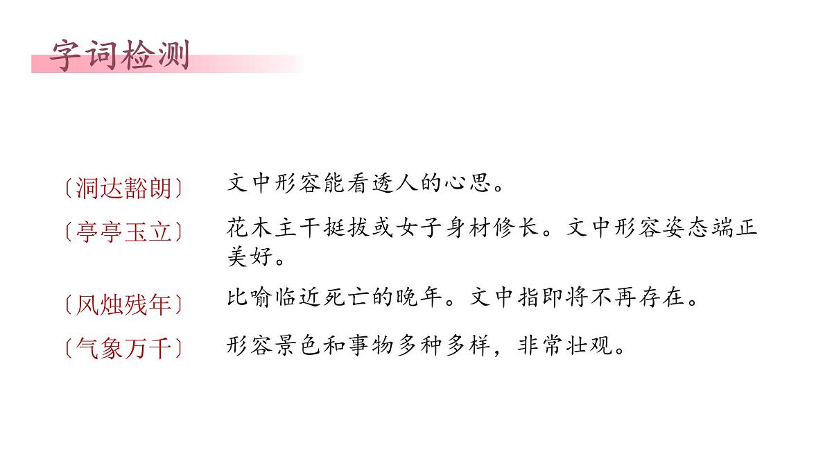 统编版（部编版）（2024）七年级语文上册18《我的白鸽》课件第7页