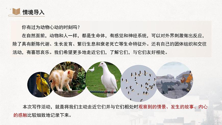 部编版）（2024）七年级上册第五单元任务三《记叙与动物的相处》课件第2页