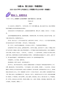 2025学年七年级上册人教版语文期末考点专题09 散文阅读试题解析版