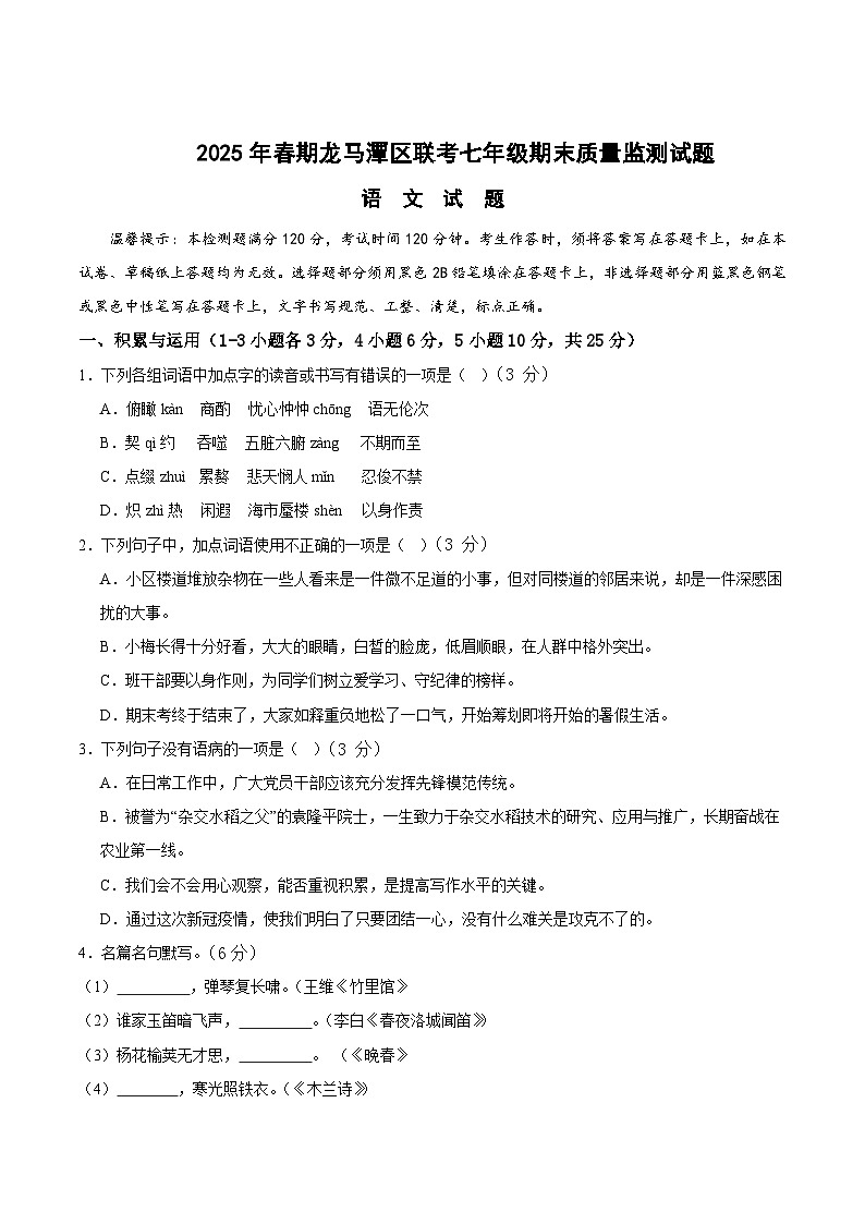 四川省泸州市龙马潭区多校联考2024-2025学年七年级下学期6月期末考试语文试卷第1页