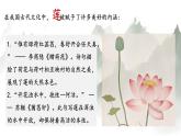 人教部編版語(yǔ)文七年級(jí)下冊(cè)第四單元《愛(ài)蓮說(shuō)》課件