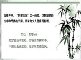 人教部編版語文七年級下冊第五單元《井岡翠竹》課件