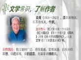 人教部編版語文七年級下冊第五單元《井岡翠竹》課件