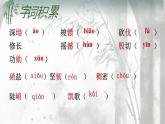 人教部編版語文七年級下冊第五單元《井岡翠竹》課件