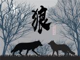 人教部编版语文七年级上册2025-2026学年度第五单元《狼》课件