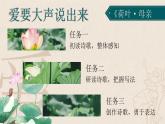 【任务型】人教部编版语文七年级上册 7《荷叶·母亲》课件+教案