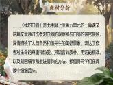 【核心素养】人教部编版语文七年级上册 18《我的白鸽》课件+教案+音视频素材
