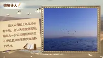 初中大雁归来/利奥波德优质课课件ppt