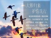 【任务型】人教部编版语文七年级上册 19《大雁归来》课件+教案