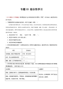 2025年中考语文真题分类汇编（全国通用）专题03 综合性学习（全国通用）（原卷版）