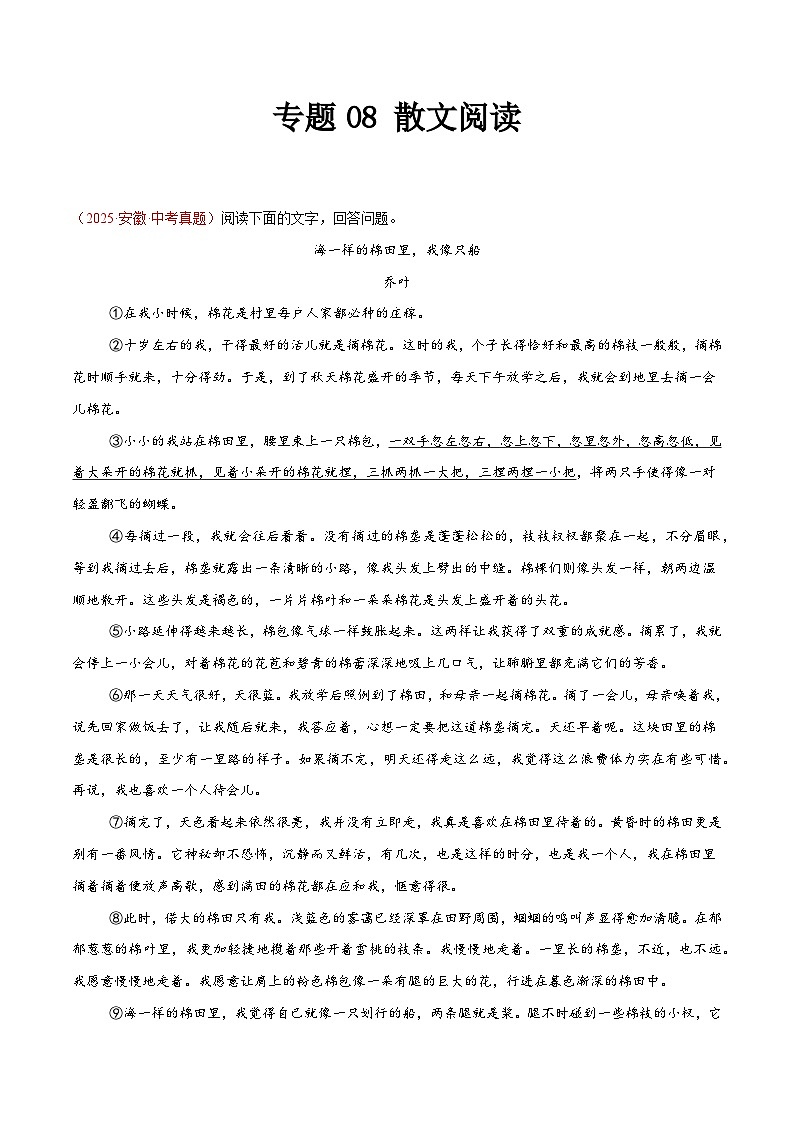 2025年中考语文真题分类汇编（全国通用）专题08 散文阅读（第1期）（原卷版）第1页