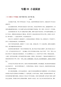 2025年中考语文真题分类汇编（全国通用）专题09 小说阅读（全国通用）（解析版）