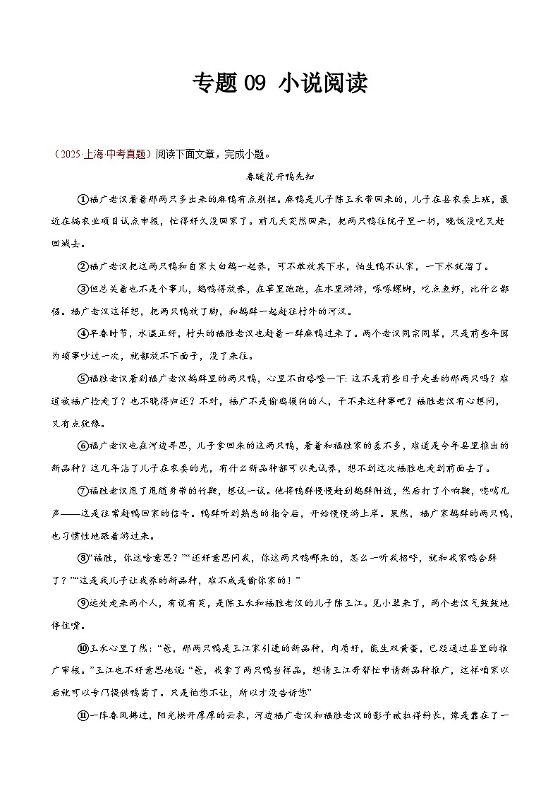 2025年中考语文真题分类汇编（全国通用）专题09 小说阅读（第1期）（原卷版）第1页