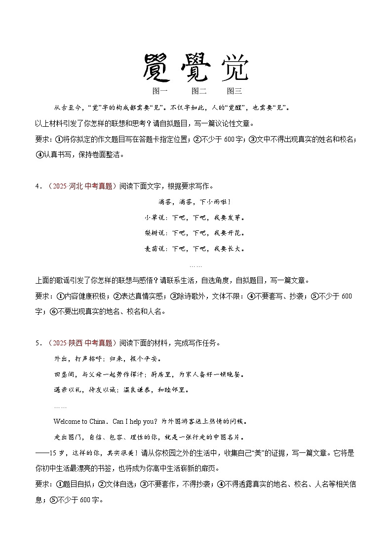 2025年中考语文真题分类汇编（全国通用）专题13 材料作文、话题作文（全国通用）（原卷版）第2页