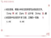2025年統(tǒng)編版八年級語文上冊 第二單元 情境任務(wù)限時練 (習(xí)題課件含答案)