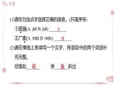 2025年統(tǒng)編版八年級語文上冊 16 白楊禮贊 (習(xí)題課件含答案)