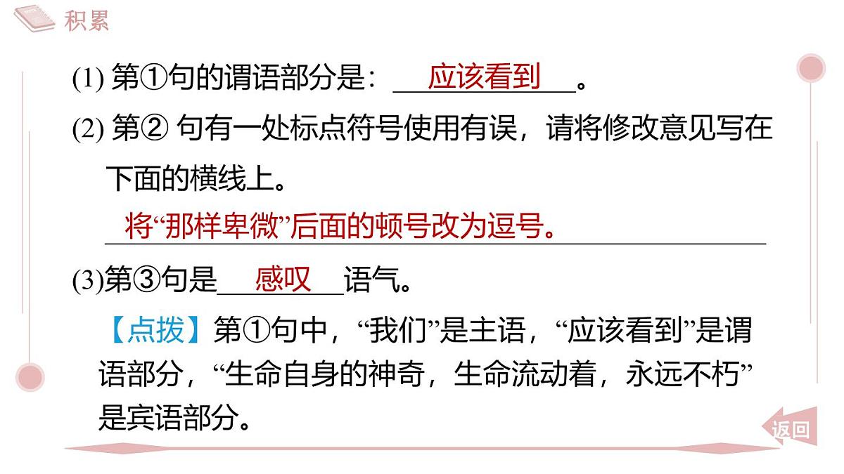 2025年统编版八年级语文上册 17 散文二篇 (习题课件含答案)第5页