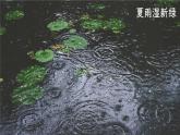 初中  语文  人教部编版（2024）  七年级上册（2024）  第一单元3  雨的四季 课件