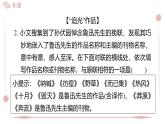 2025年統(tǒng)編版八年級(jí)語文上冊(cè) 8 回憶魯迅先生（節(jié)選） (習(xí)題課件含答案)