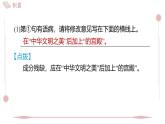 2025年統(tǒng)編版八年級語文上冊 19 中國石拱橋 (習題課件含答案)