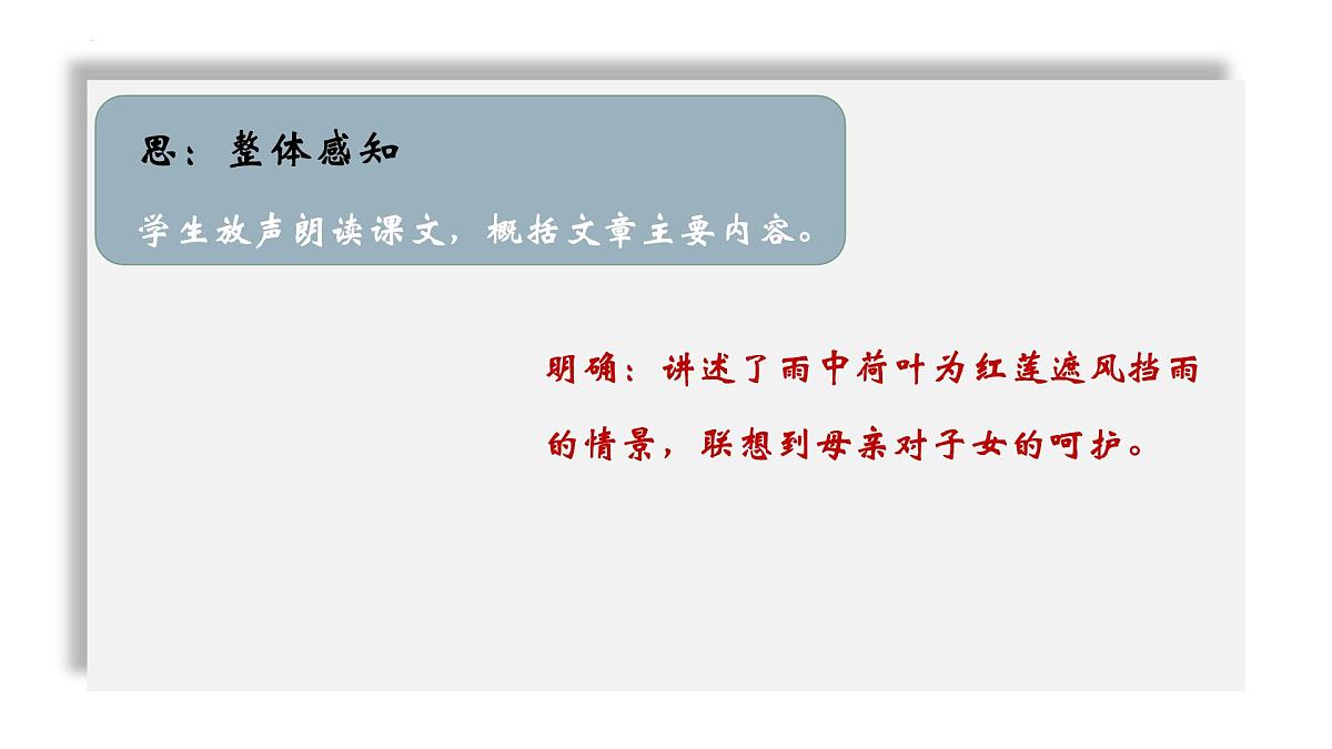 初中  语文  人教部编版（2024）  七年级上册（2024）  第二单元  7* 散文诗二首荷叶·母亲 课件第7页