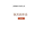 初中  语文  人教部编版（2024）  七年级上册（2024）  第二单元5 秋天的怀念 课件