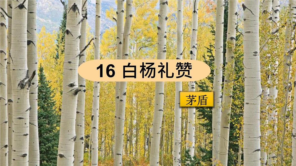 统编版语文八年级上册第16课《白杨礼赞》课件第2页