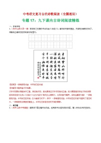 中考语文第二轮专项练习专题17：九下课内古诗词阅读精练-中考语文复习 古代诗歌阅读（全国通用）（教师版+学生版）