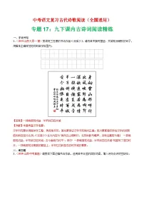 中考语文第二轮专项练习专题17:九下课内古诗词阅读精练-中考语文复习 古代诗歌阅读(全国通用)(教师版+学生版)