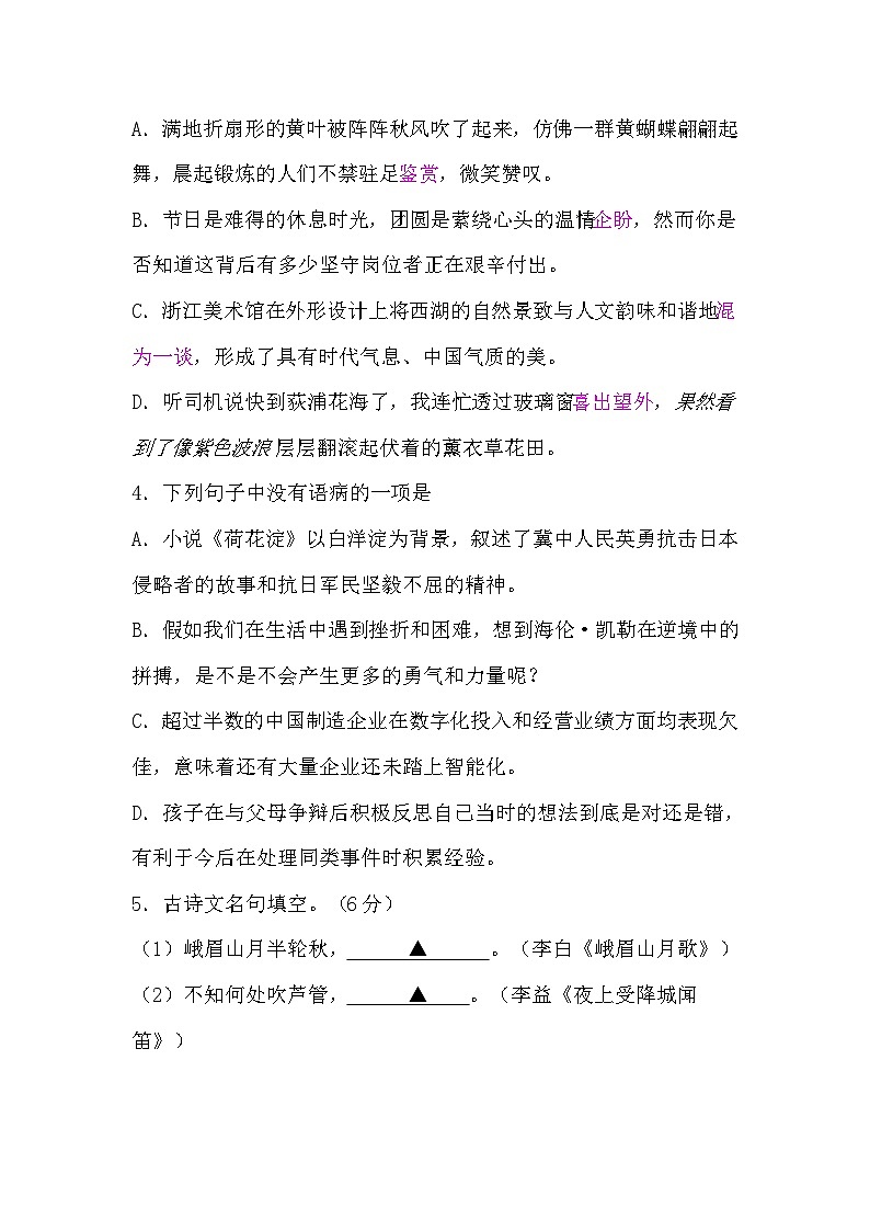 2024-2025学年部编版语文七年级上册 第三次月考试卷第2页