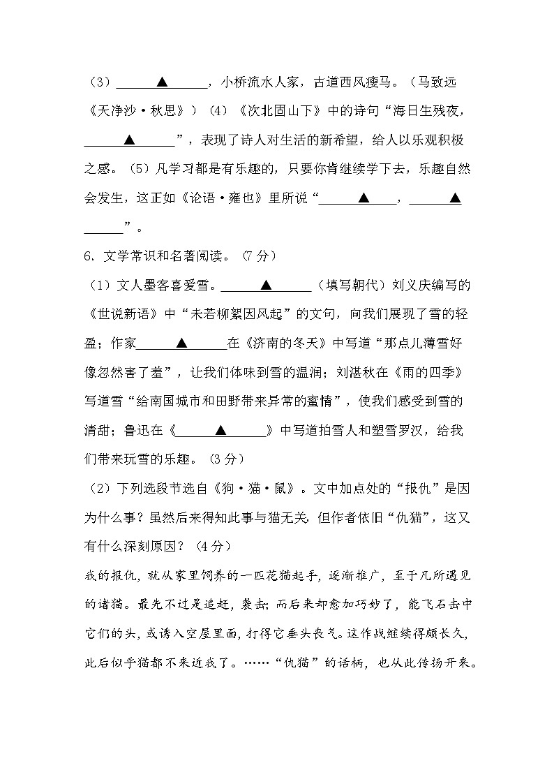2024-2025学年部编版语文七年级上册 第三次月考试卷第3页