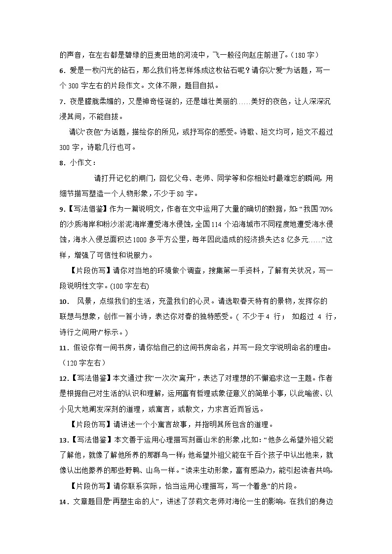 2026年中考语文一轮复习讲练：微写作（片段写作）（全国通用）第2页