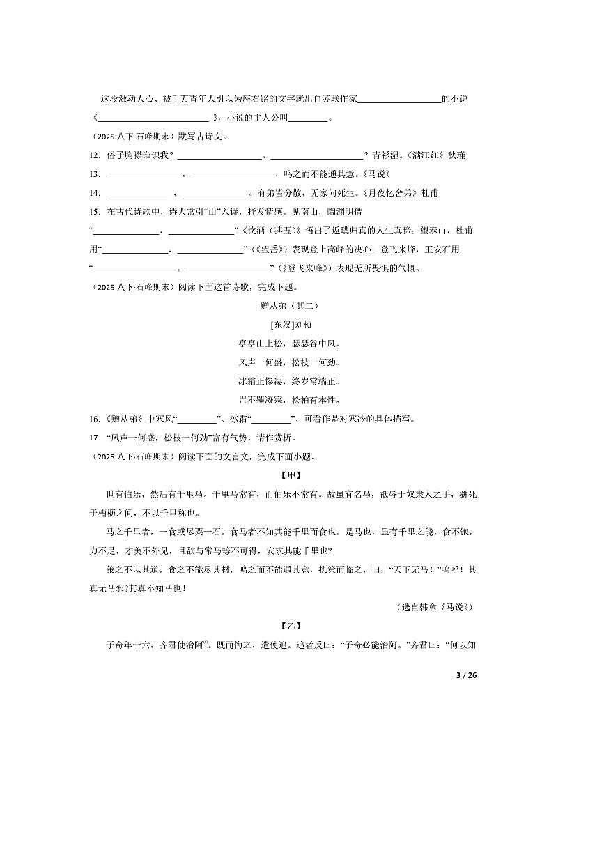 2024～2025学年湖南省株洲市石峰区田心中学多校联考(月考)八年级下语文6月期末考试试卷第3页