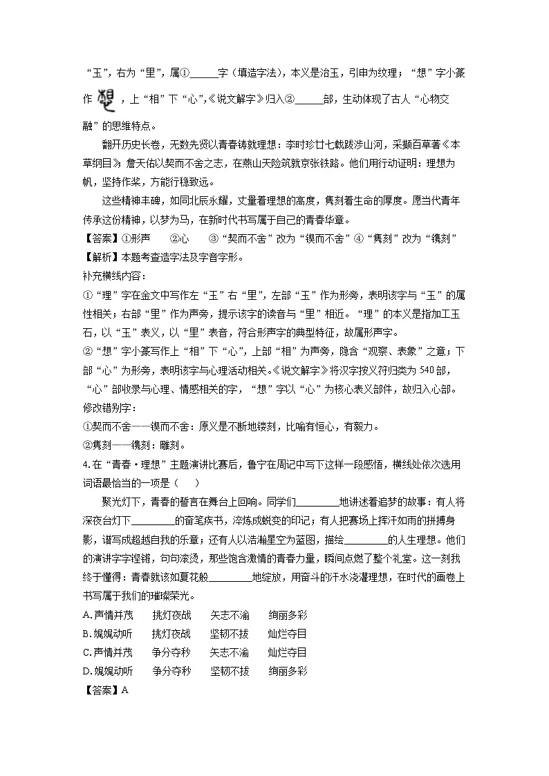 山东省济宁市鱼台县2025年中考二模考试语文试卷（解析版）第3页