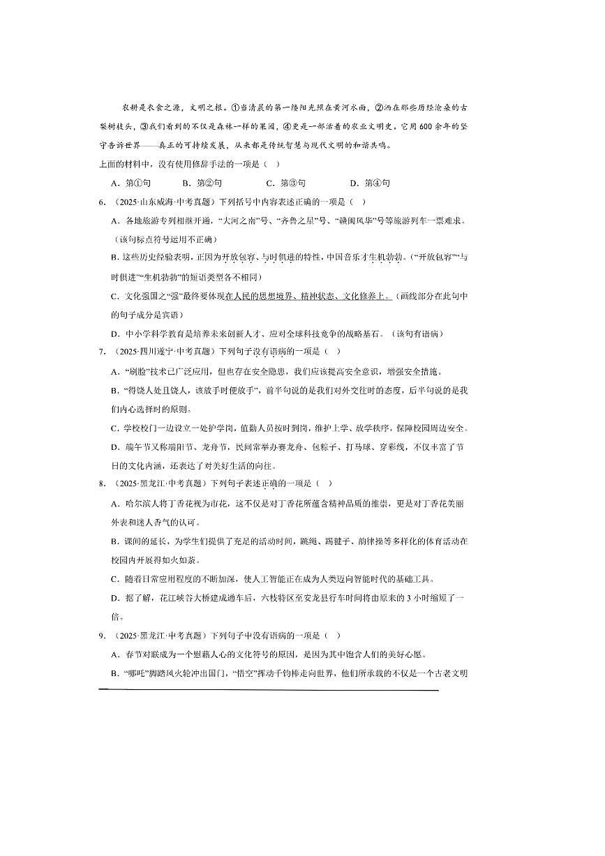 备考2026五年中考真题语文分类汇编 3.句子句法应用试卷(含答案解析)第2页