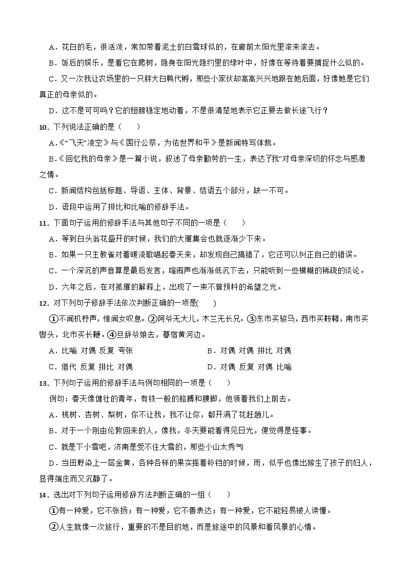 2026年中考语文一轮复习学案：修辞手法及运用（含答案解析与范文例文）全国通用第3页