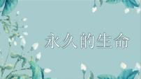 人教部编版（2024）八年级上册（2024）永久的生命/严文井精品ppt课件