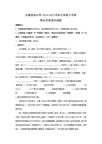安徽省宿州市2024-2025学年七年级下学期期末考试语文试题（解析版）