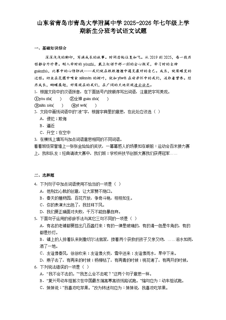 山东省青岛市青岛大学附属中学2025-2026年七年级上学期新生分班考试语文试题（含答案）第1页