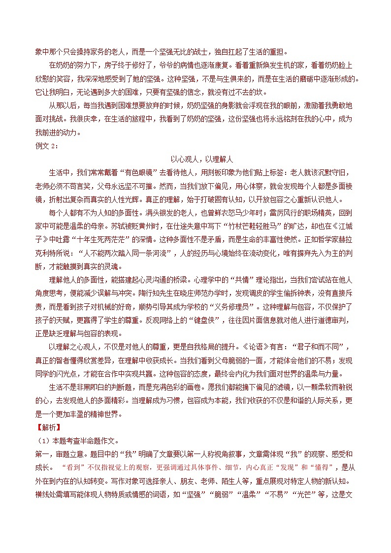 专题13 作文（河南专用）（解析版）第2页