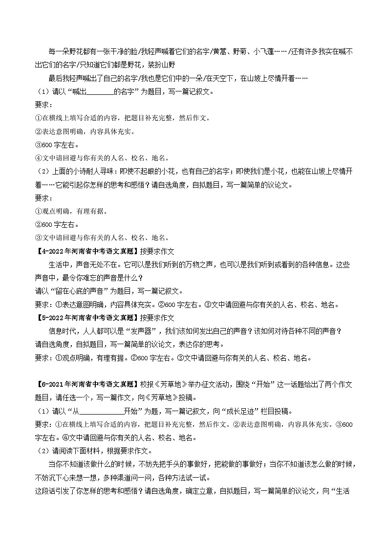 专题13 作文（河南专用）（原卷版）第2页