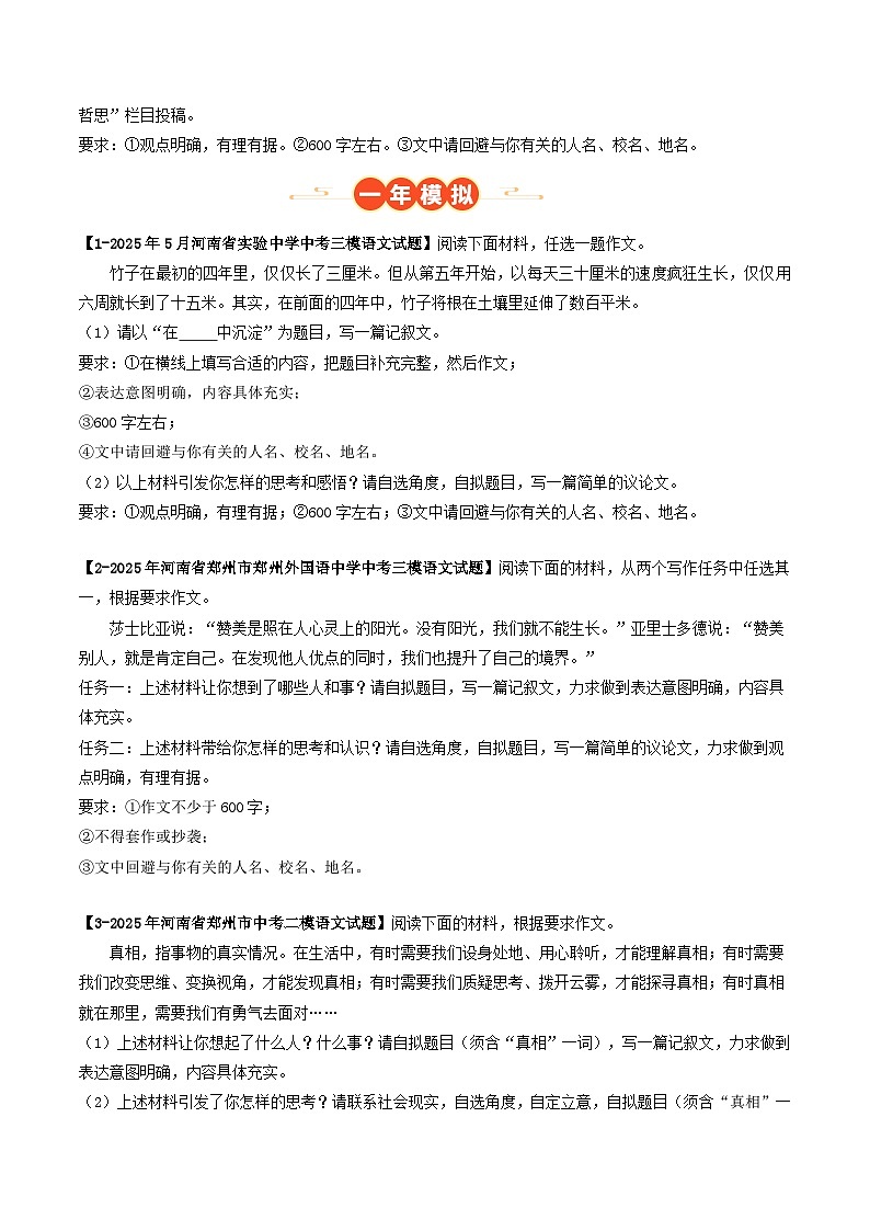 专题13 作文（河南专用）（原卷版）第3页