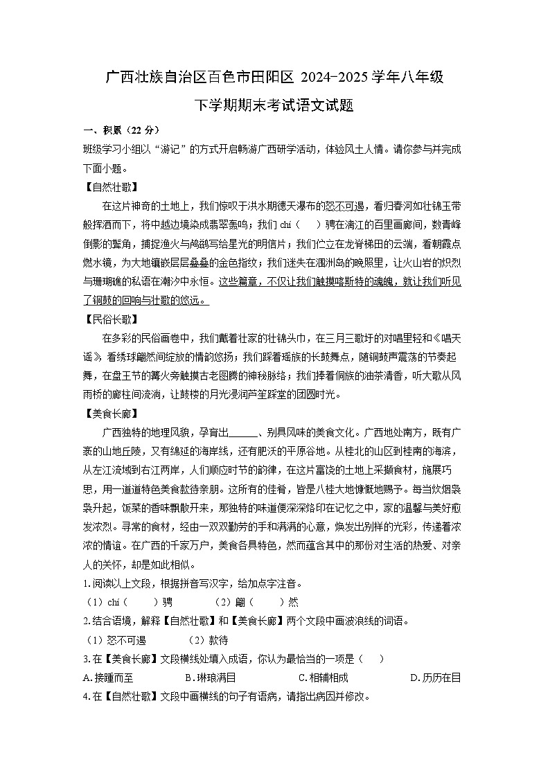 广西壮族自治区百色市田阳区2024-2025学年八年级下学期期末考试语文试题（解析版）第1页
