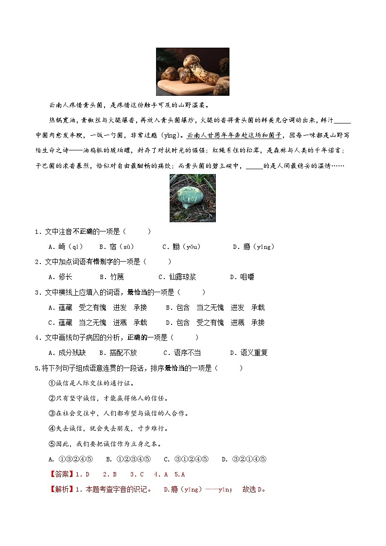 八年级语文第一次月考卷（全解全析）（云南专用 ） 第2页
