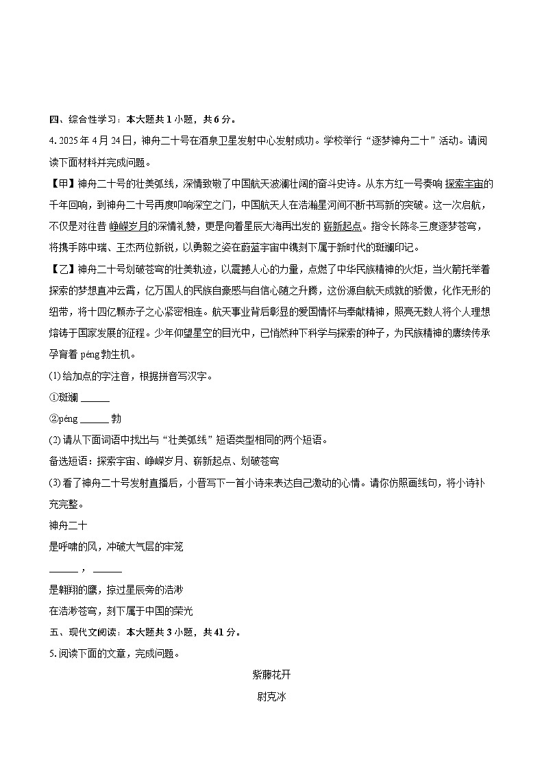2024-2025学年山西省运城市夏县七年级（下）期末语文试卷（含详细答案解解析）第2页
