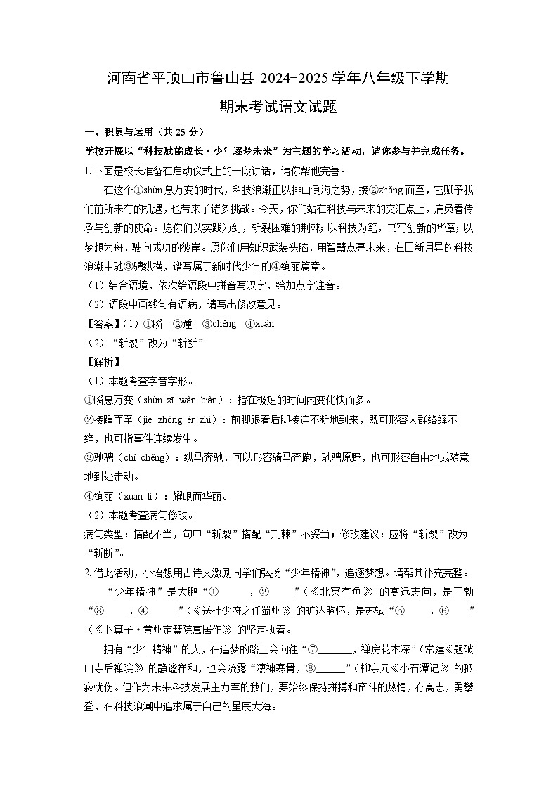 河南省平顶山市鲁山县2024-2025学年八年级下学期期末考试语文试卷（解析版）第1页